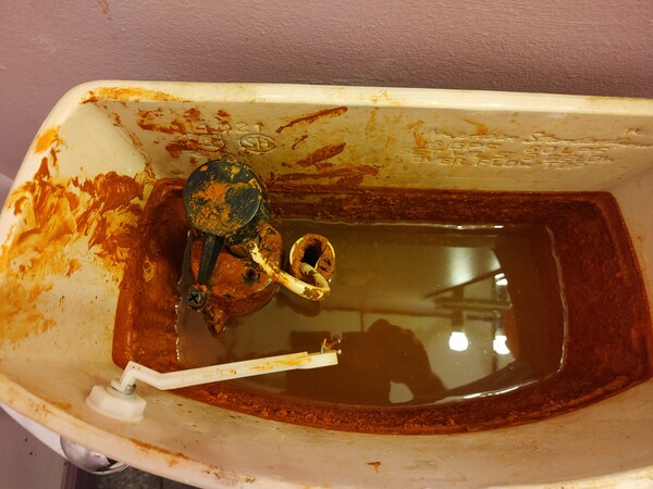 Improperly Filtered Well Water (1)